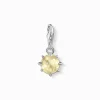 Women THOMAS SABO Charms|Charms-Charm pendant birth stone November
