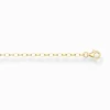 THOMAS SABO 18-Carat Gold-Plating - 925 Silver-Extension chain classic