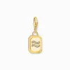 Women THOMAS SABO Charms|Charms-Gold-plated charm pendant zodiac sign Aquarius with zirconia