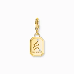 Women THOMAS SABO Charms|Charms-Gold-plated charm pendant zodiac sign Aquarius with zirconia