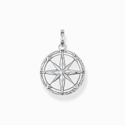 Women THOMAS SABO Pendants|Pendants-Pendant compass tiger‘s eye